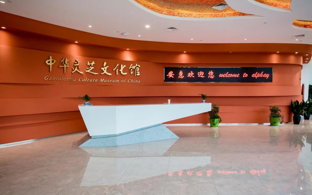 NETDA fosters cultural excellence with innovative initiatives