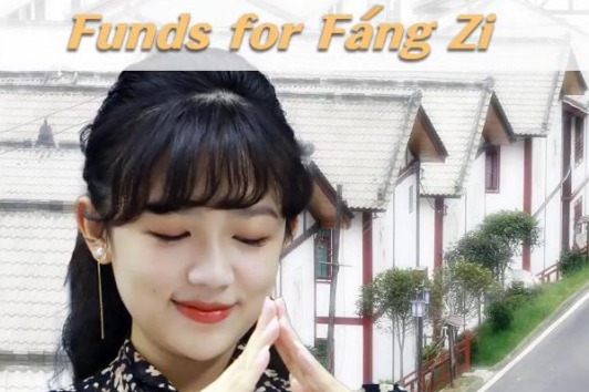 Housing pension to ease anxiety over depreciating housing