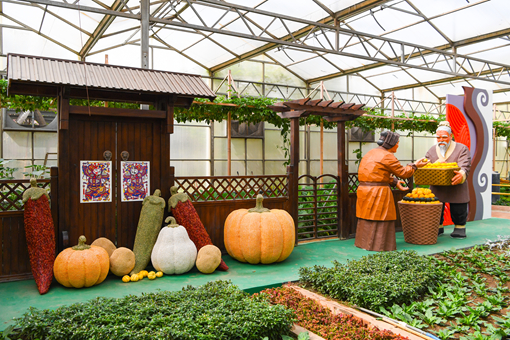 26th vegetable fair opens in Shandong, featuring green future