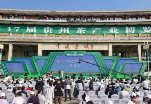 17th Guizhou Tea Industry Expo kicks off in Meitan