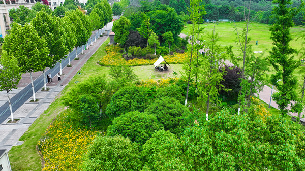 Jinhaiwan Park: A haven for family outings and camping