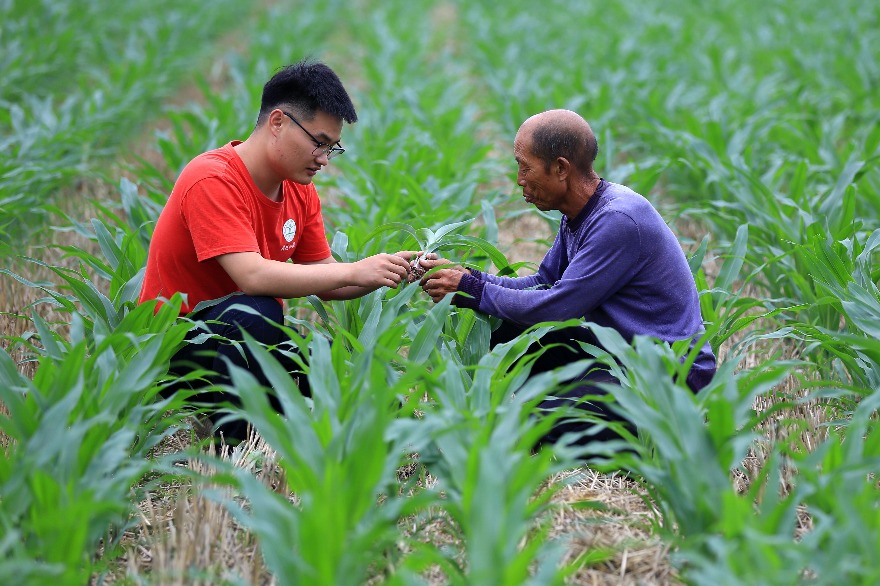 National science and technology backyard conference held in Hebei