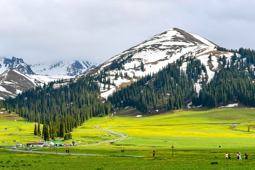Grassland conservation efforts yield positive results
