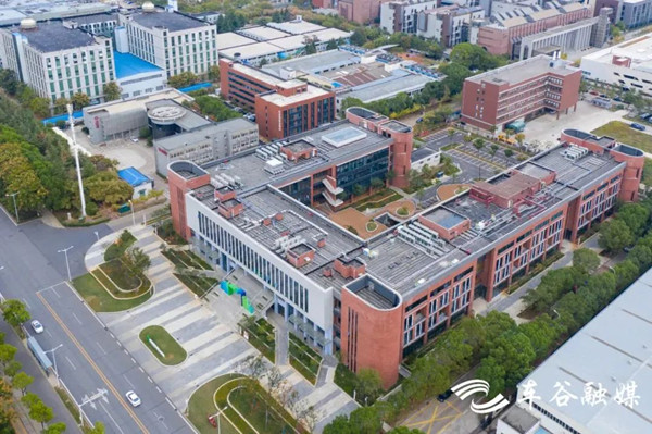 WEDZ excels in providing intellectual property services