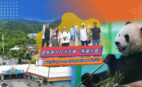 World's eyes on panda paradise at Wuxi Zoo