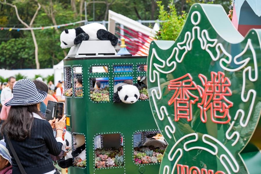 Travel records hit new highs in Greater Bay Area