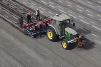 Xinjiang leads China's cotton production surge amid technological advancements