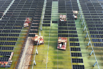 Experts: Nation leads in green industry practices