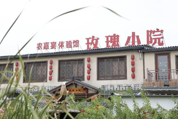 Rose tourism blossoms in Jiaxiang, driving rural vitalization