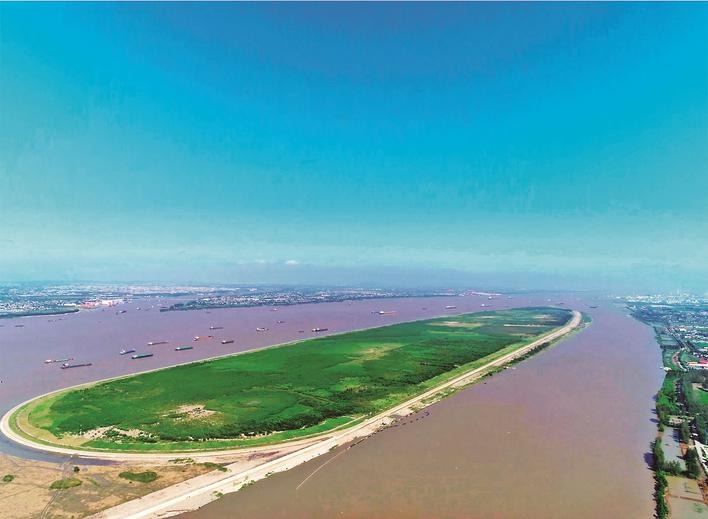 Biodiversity thrives as conservation efforts take root in Taizhou