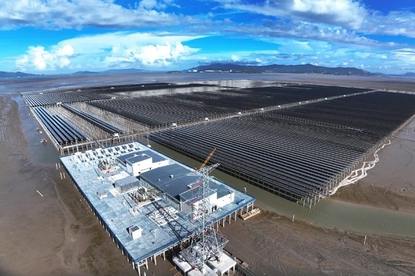 Yueqing's green energy impresses Brazilian media with cutting-edge solar project