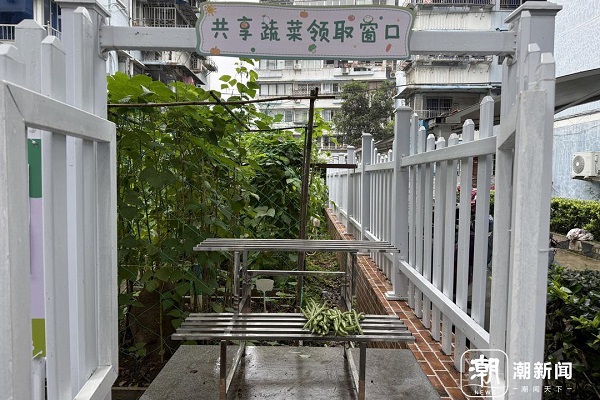 Wenzhou's zero-waste lifestyle gains global spotlight