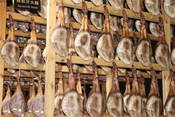 1742974017525024474 (1).jpg