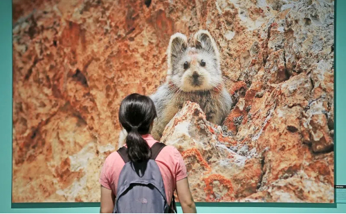 2025617872435937292 (2).jpg