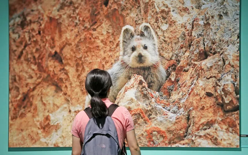 Zhejiang marks International Biodiversity Day