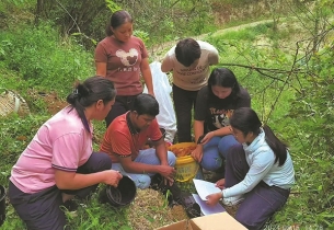 China's experience in cultivating mushrooms grows on Indian farmers