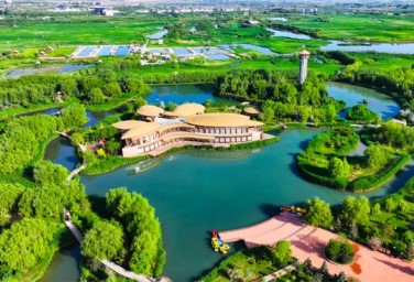 Zhangye wetland park offers refreshing escape in summer