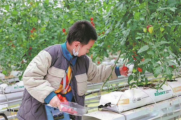 Agricultural base connects people to land