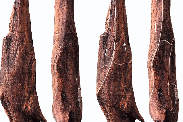 300,000-year-old wooden tools found