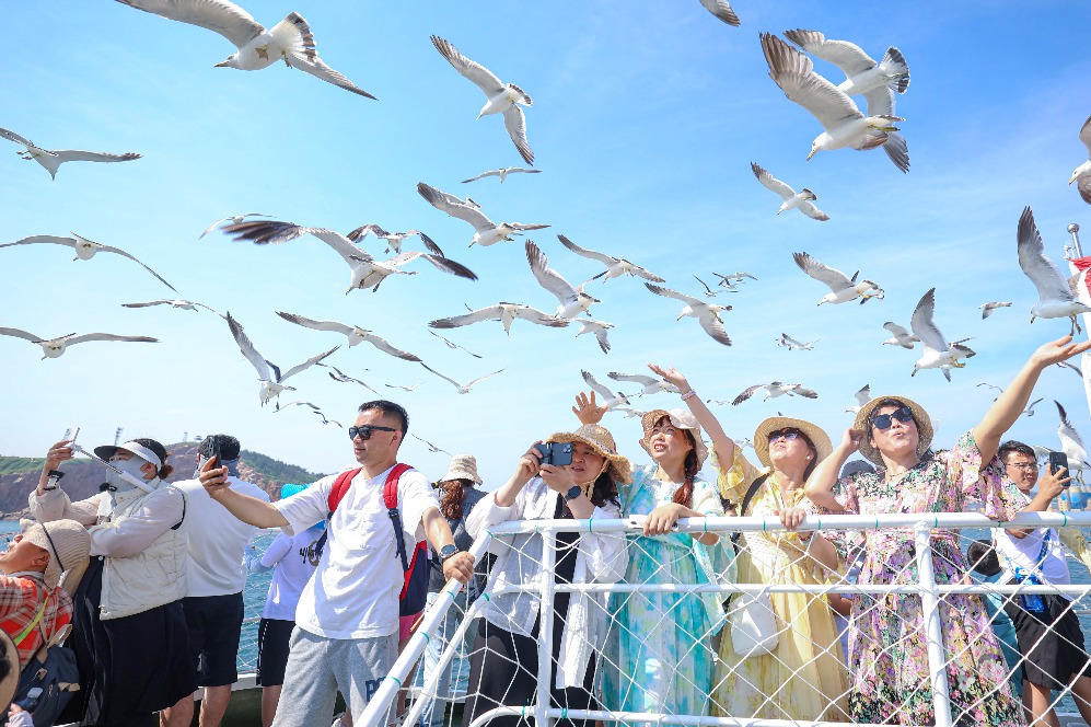 Campaign takes aim at tour operators