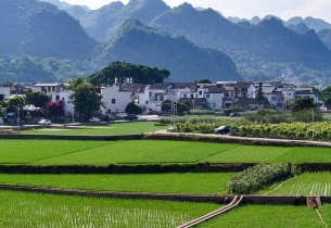 Guizhou's idyllic sightseeing shines in summer