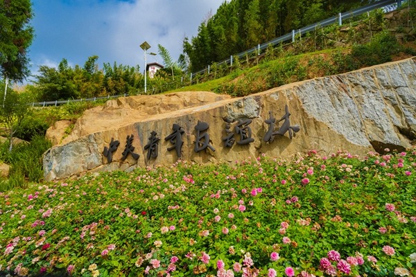 China-US Youth Friendship Woods ready to open in Kuliang