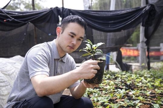Dream of rare fungus sprouts in Guangzhou