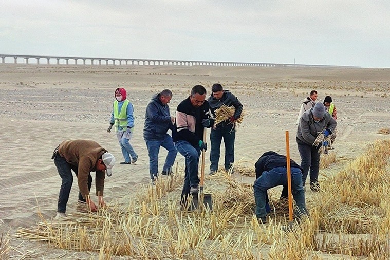 Xinjiang to consolidate region's ecological achievements