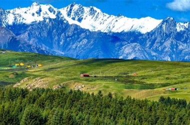 Zhangye's thrilling horse races captivates enthusiastic crowds