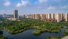 NETDA hosts 'AI+Pharma' exchange with overseas experts