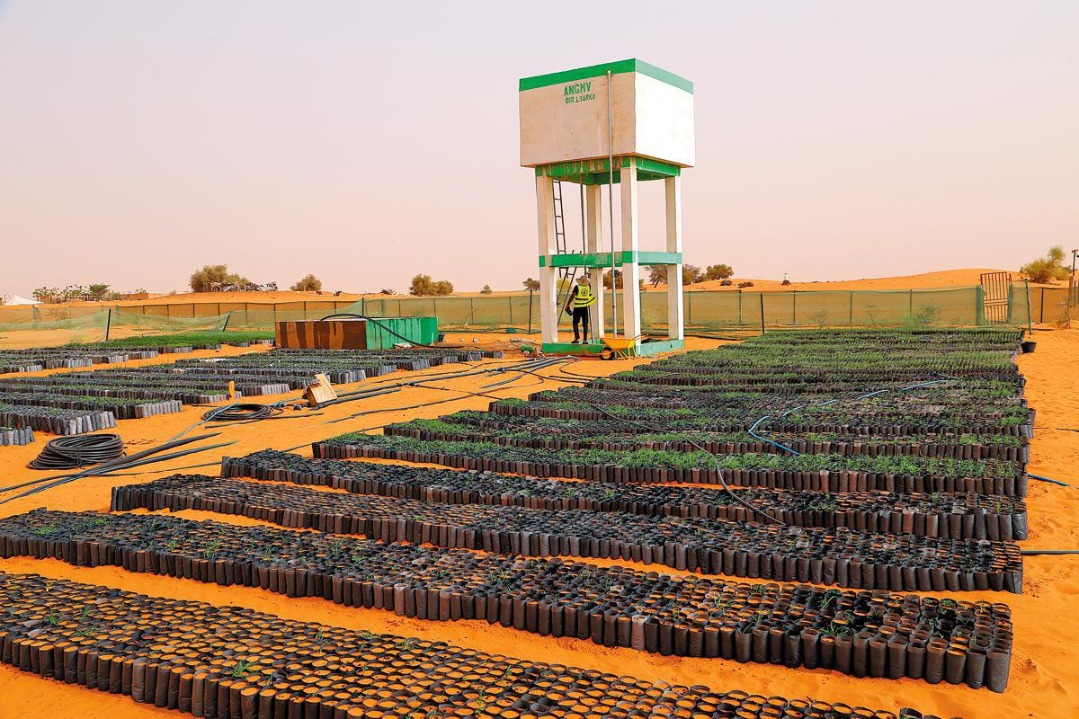 China helping Africa green its deserts