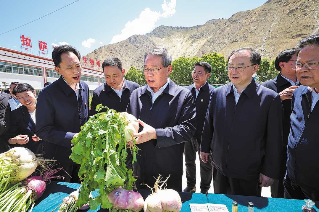 Mega-hydro project launched in Xizang