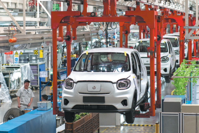 Healthier NEV sector high on govt agenda