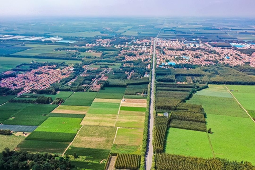 Shandong's comprehensive approach to grain loss reduction