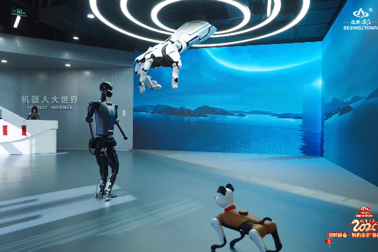 Beijing E-Town hosts robot carnival