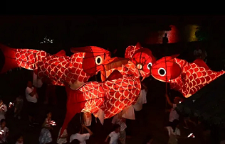 Anhui's 600-year-old fish lanterns cast ancient light at WIPO