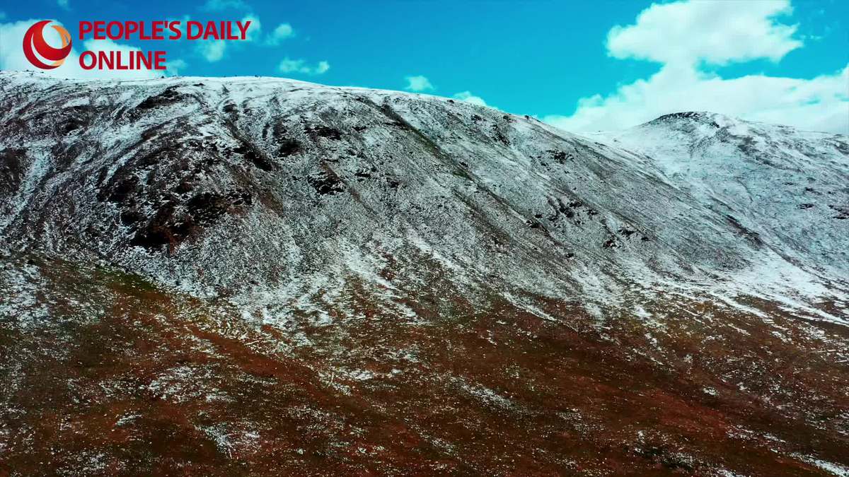 Stories of High-Quality Development | A 'kindergarten' for Tibetan antelopes in Hoh Xil