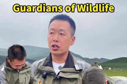 Wildlife rescuer takes care of vulnerable animals like a parent