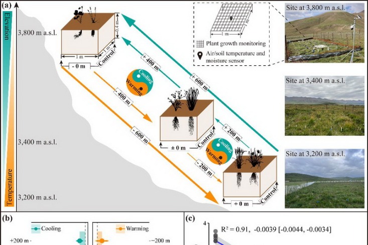 Study illuminates subsoil carbon pool changes on Qinghai-Tibet Plateau