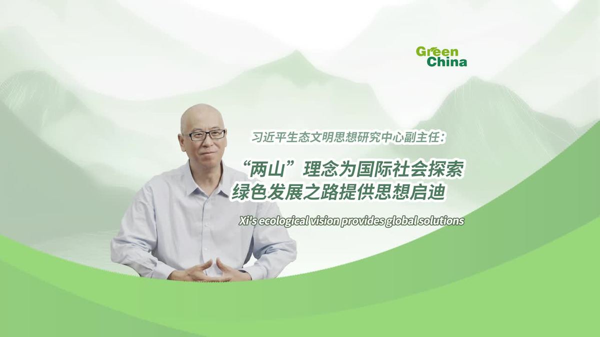 Xi's ecological vision provides global solutions