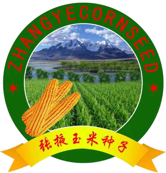 Zhangye Corn Seed picked as Gansu agro-product regional brand