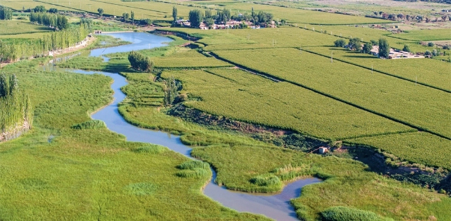 Zhangye's river shows green side after management changes