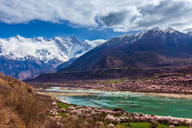 Nyingchi thrives with booming tourism and trade