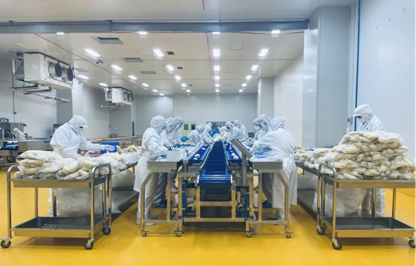 Durian super factory unveiled in Qingdao FTZ