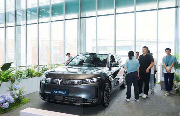 WEDZ pioneers NEV innovations