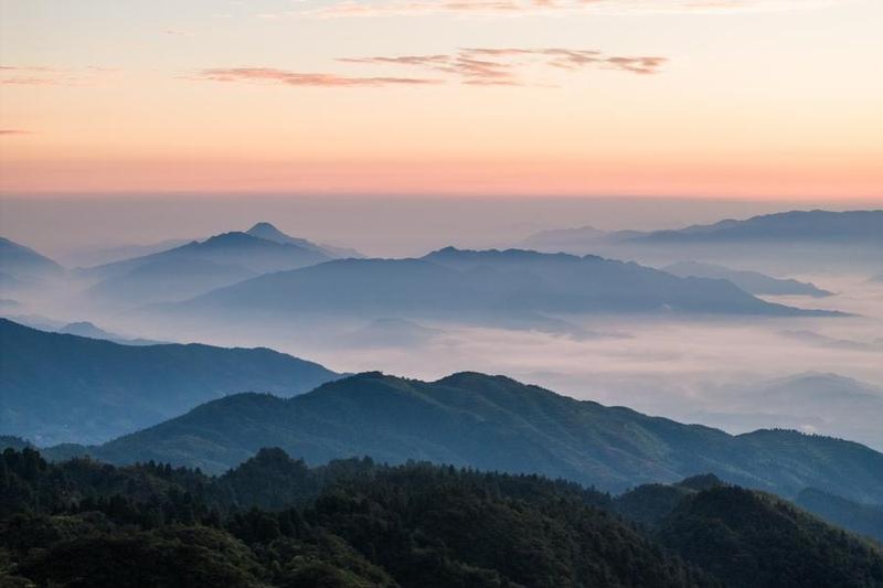 WWF and foreign envoys hail China's national park system as model for global conservation