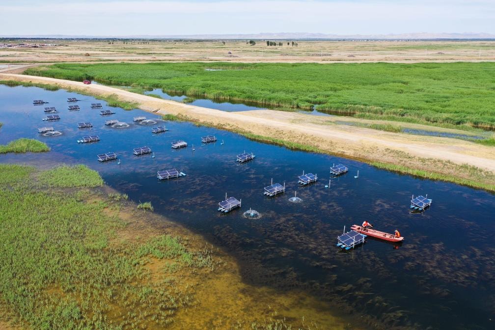 China unveils climate health action plan