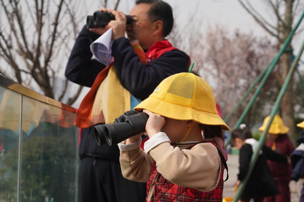 Subsidies to counter birth decline