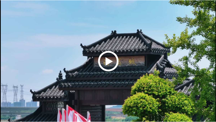 Embark on a WEDZ journey with AI Zhuge Liang