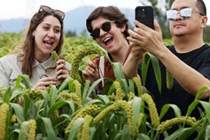 Organic agriculture forum unites global experts in Datong